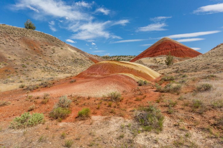 023 John Day Fossil Beds NM, painted hills.jpg
